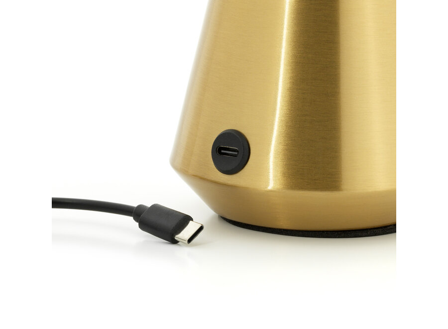 The Mushlampio Led Table Lamp
