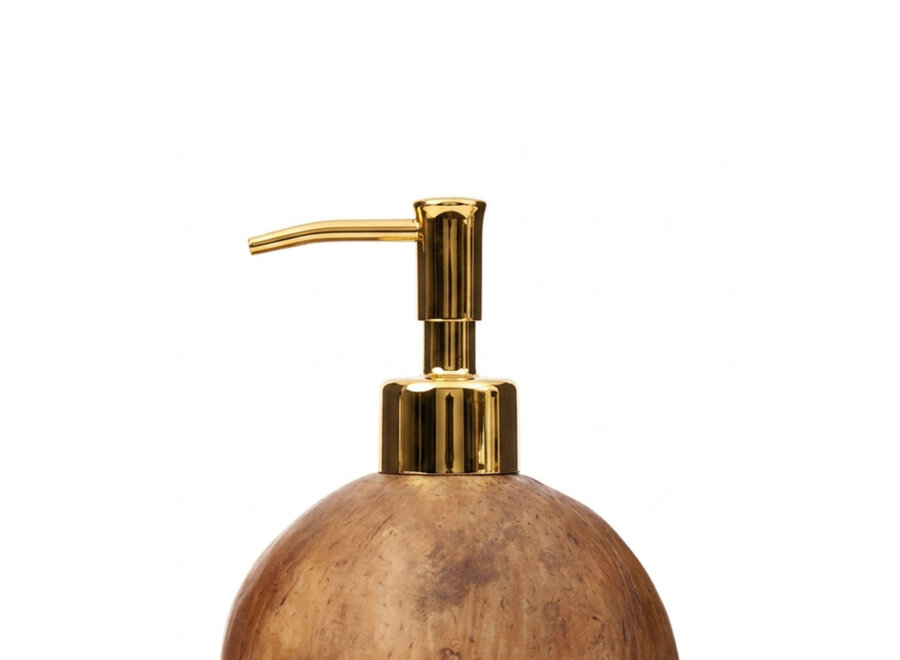 The Coconut Soap Dispenser