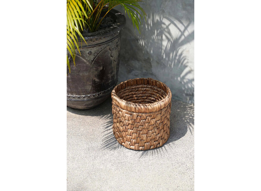 The Choppy Basket