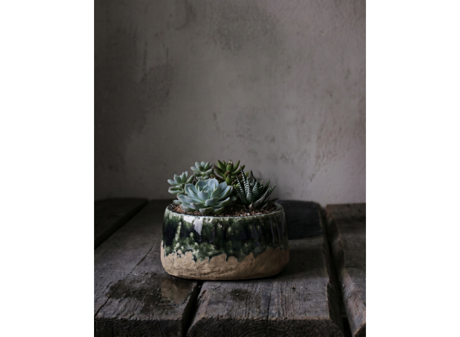 Il Vaso Ciotola Moss - Verde Cemento - Basso