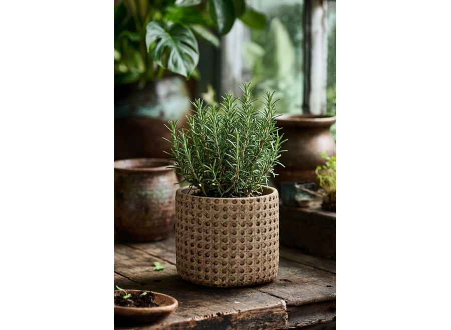 La Jardinera RattanRock - Natural - M