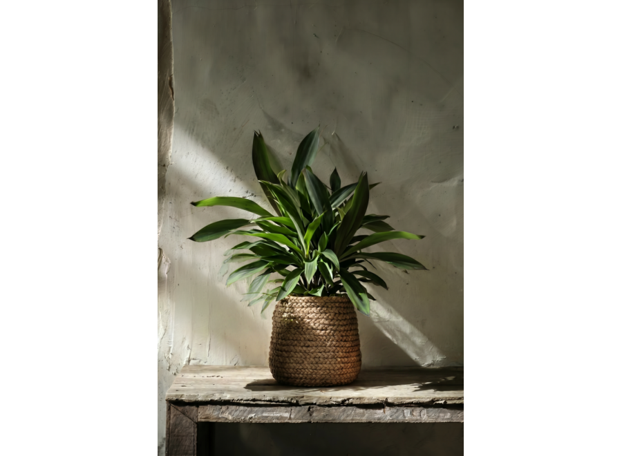 Il Vaso Fake Braided - Naturale - L