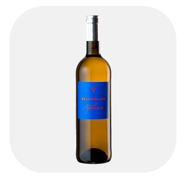 Belondrade Quinta Apolonia Verdejo 2024