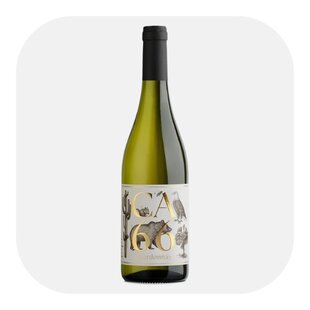 CA 66 Chardonnay 2024