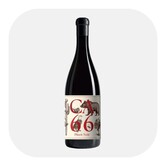 CA 66 Pinot Noir 2023