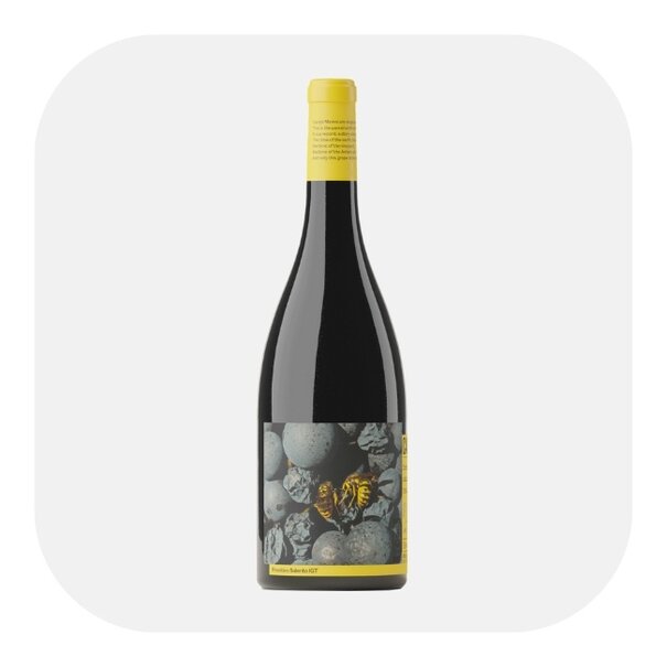 Campi Deantera Campo Minimo Primitivo Salento 2022