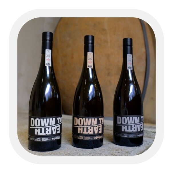 Weingut am Stein Down to Earth 2019 3-delige set in houten kist