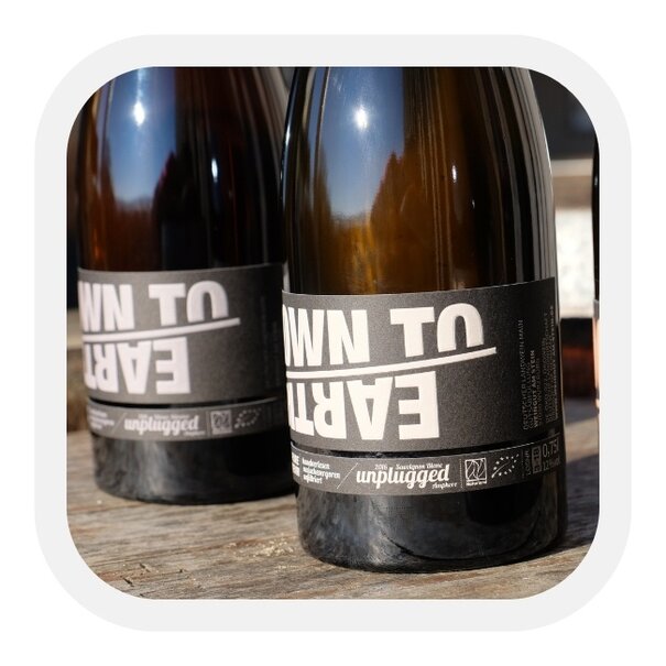 Weingut am Stein Down to Earth 2019 3-delige set in houten kist