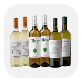 Verdejo Wijnpakket Favorieten