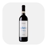 Barbera d'Asti perBerto 2024