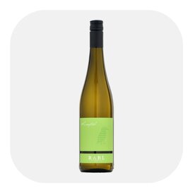 Grüner Veltliner Löss 2024