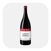 Langhe DOC Nebbiolo 2024 Magnum