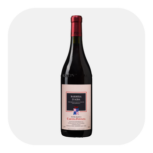 Barbera d'Alba 2024