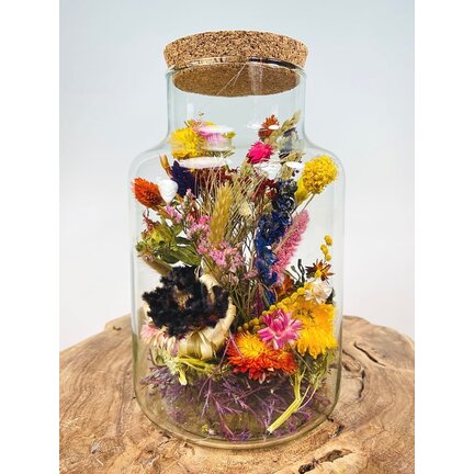 Torka blommor i glas till rabatterat pris