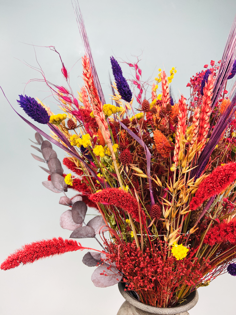 Ramo de flores secas "Bomba de color" | 60cm