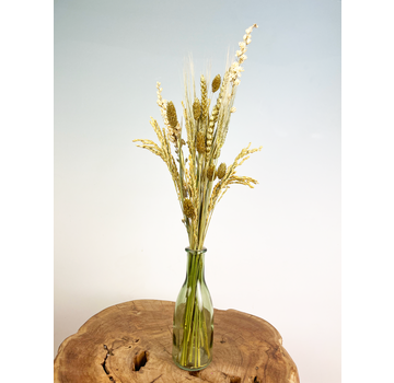 Bouteille avec des fleurs séchées (vertes)
