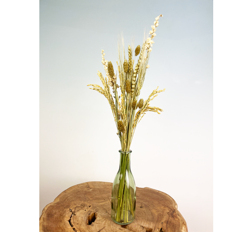 Bouteille avec des fleurs séchées (vertes)