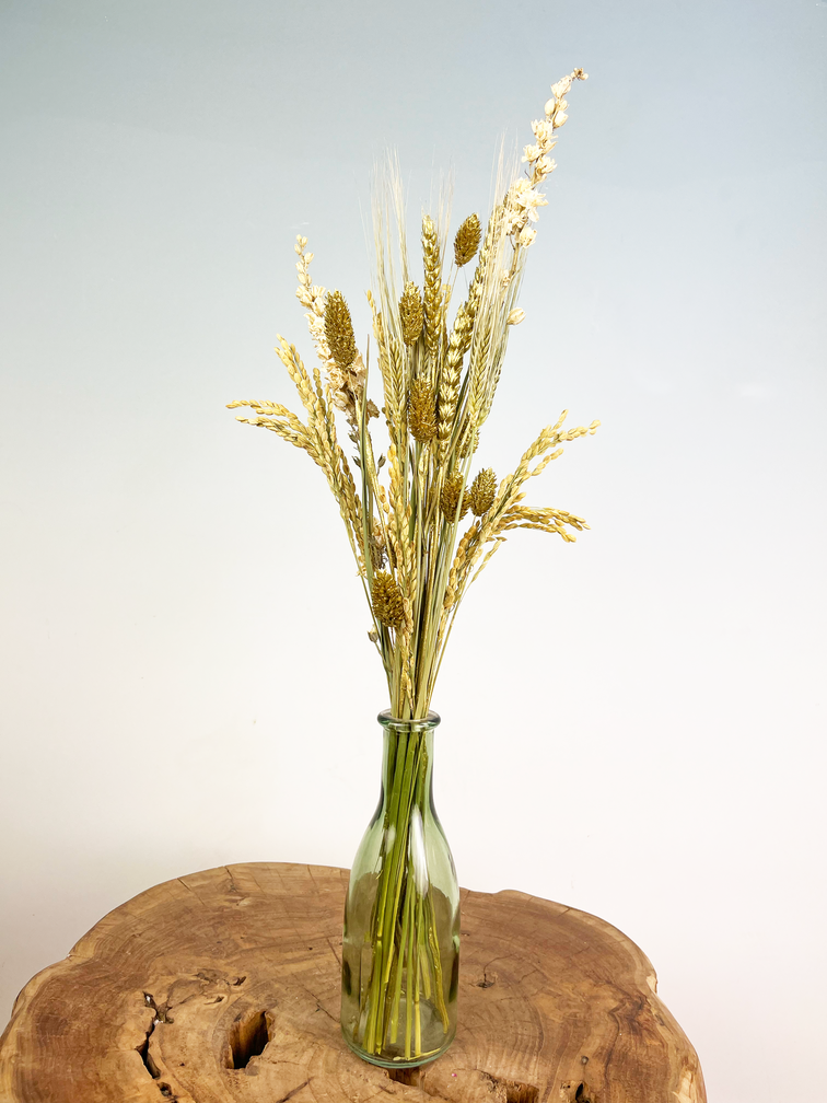 Bouteille avec des fleurs séchées (vertes)