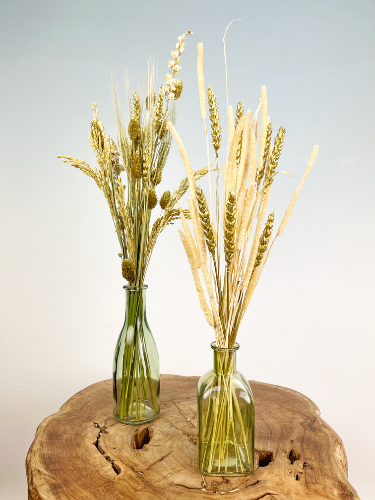Bouteille avec des fleurs séchées (vertes)