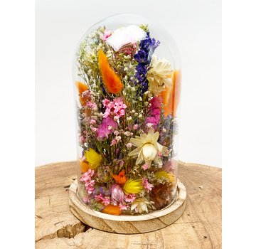 Fleurs sèches dans une cloche en verre ''medium''. - ⌀14xH21cm