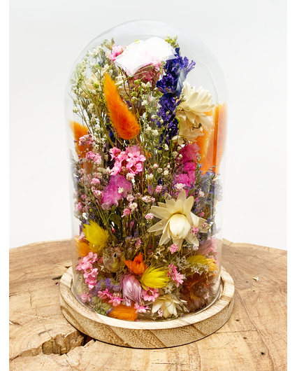 Fleurs sèches dans une cloche en verre ''medium''. - ⌀14xH21cm