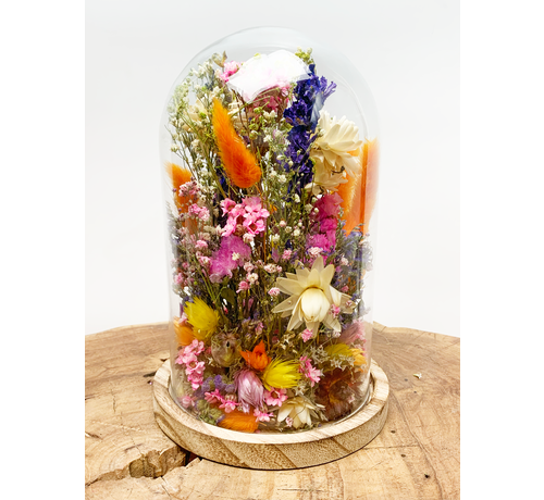 Fleurs sèches dans une cloche en verre ''medium''. - ⌀14xH21cm