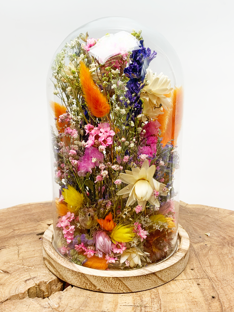 Fleurs sèches dans une cloche en verre ''medium''. - ⌀14xH21cm