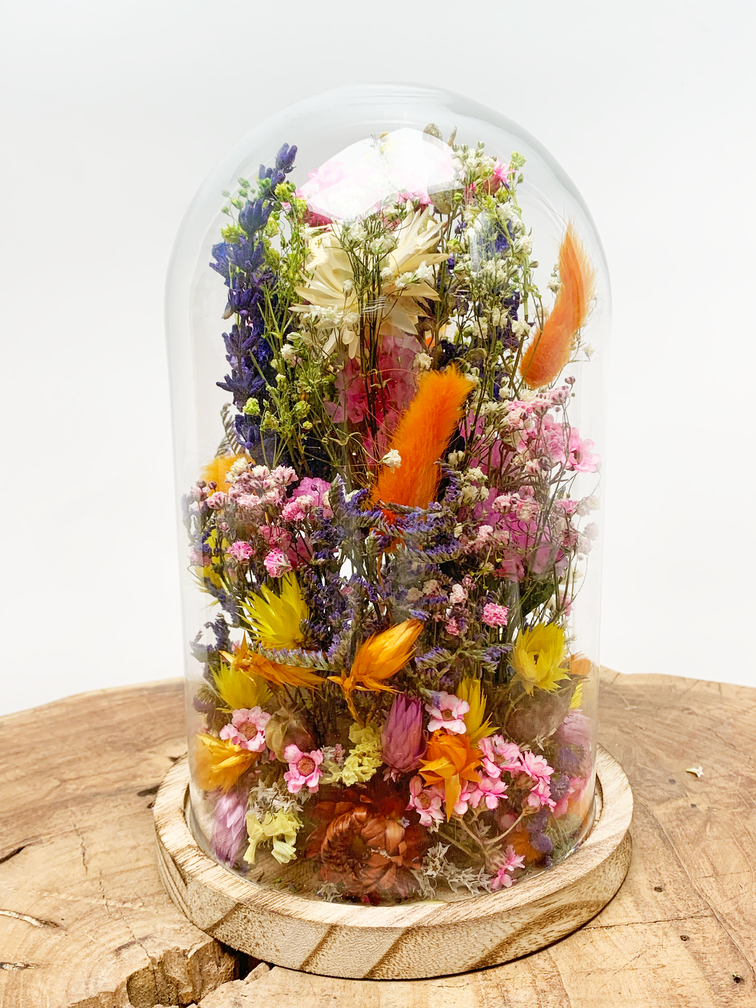 Fleurs sèches dans une cloche en verre ''medium''. - ⌀14xH21cm