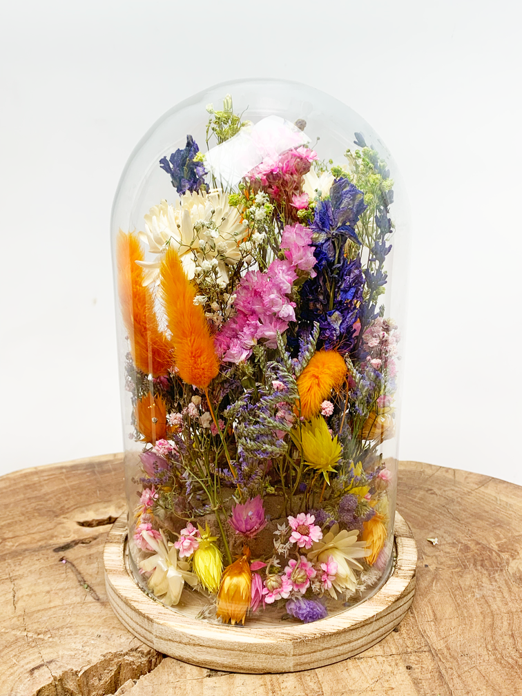 Fleurs sèches dans une cloche en verre ''medium''. - ⌀14xH21cm