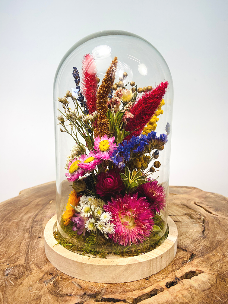 Fleurs sèches dans une cloche en verre ''medium''. - ⌀14xH21cm