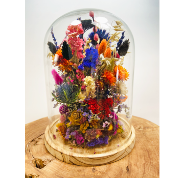 Fleurs sèches dans une cloche en verre ''large'' - ⌀22xH30cm