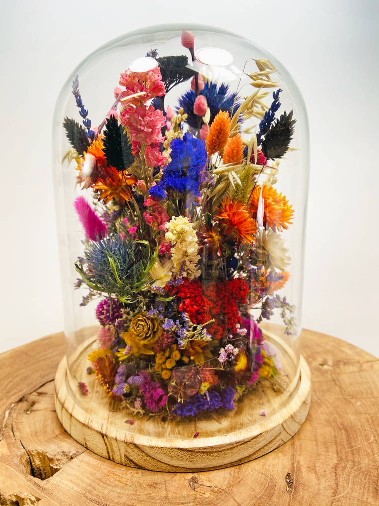 Fleurs sèches dans une cloche en verre ''large'' - ⌀22xH30cm