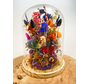 Fleurs sèches dans une cloche en verre ''large'' - ⌀22xH30cm