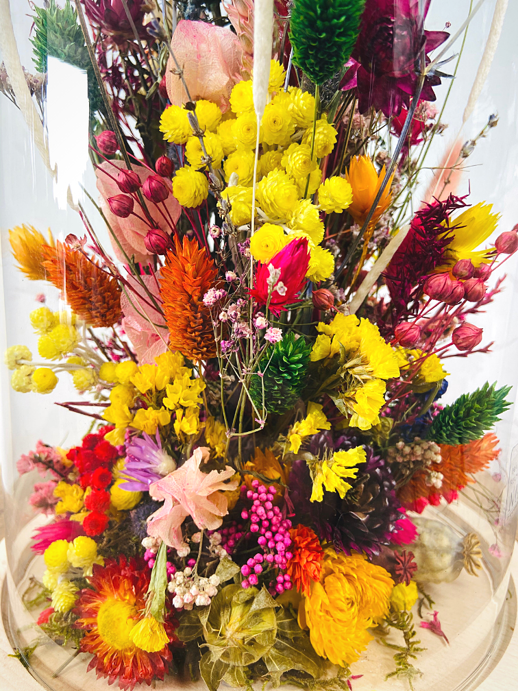 Fleurs sèches dans une cloche en verre ''large'' - ⌀22xH30cm