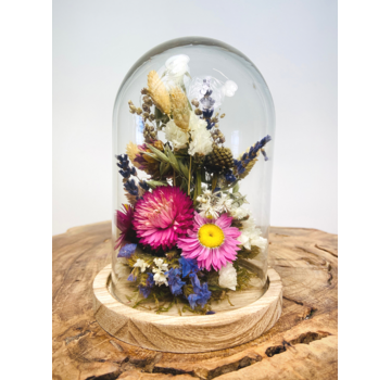 Trockenblumen in Glasglocke ''klein'' - ⌀13xH12cm