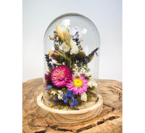 Trockenblumen in Glasglocke ''klein'' - ⌀13xH12cm