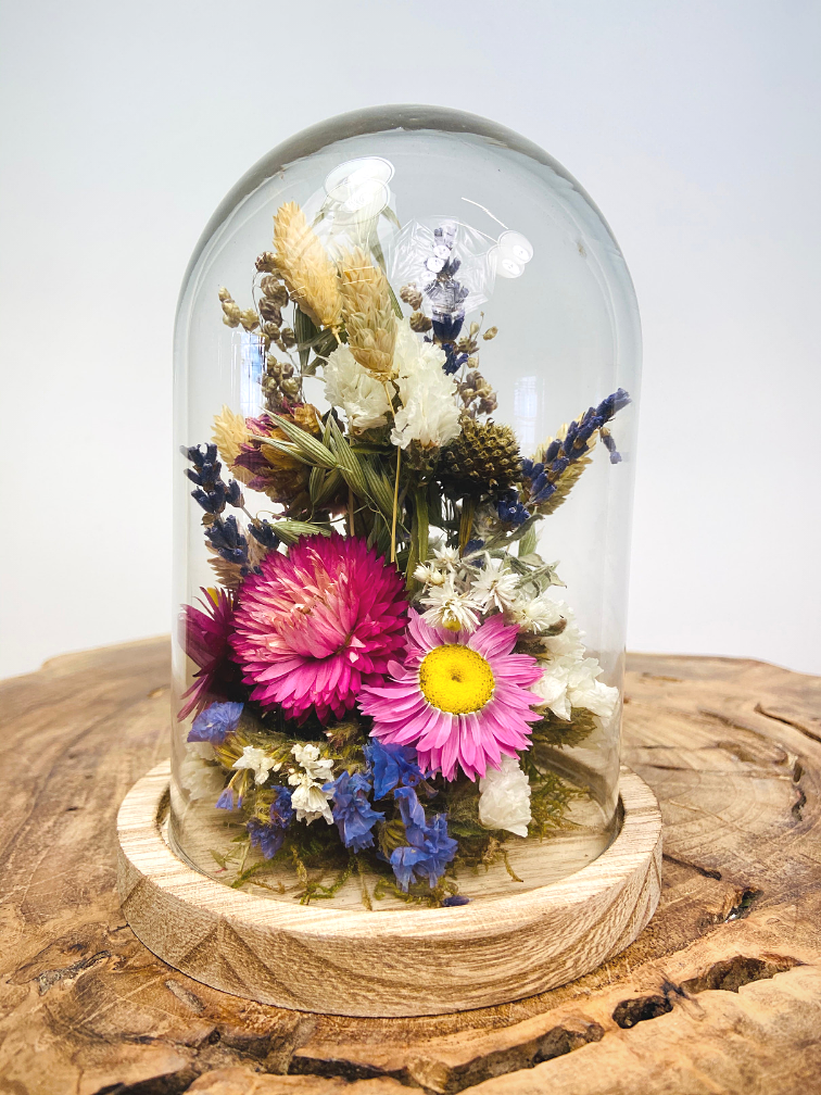 Flores secas en campana de cristal ''pequeña'' - ⌀13xH12cm