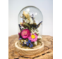 Trockenblumen in Glasglocke ''klein'' - ⌀13xH12cm