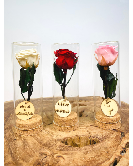 Special Gift | small Longlife rose in test tube