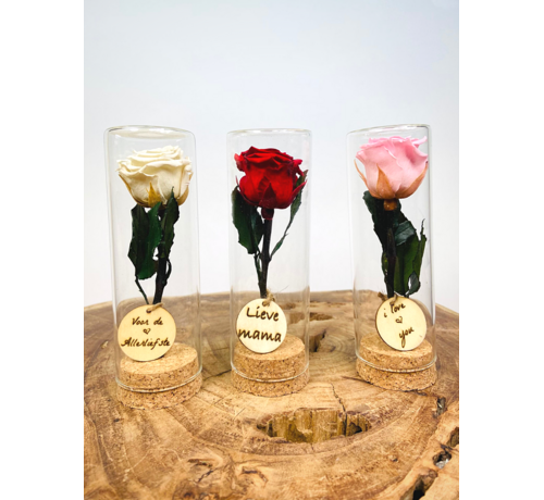 Regalo especial | pequeña rosa Longlife en tubo de ensayo