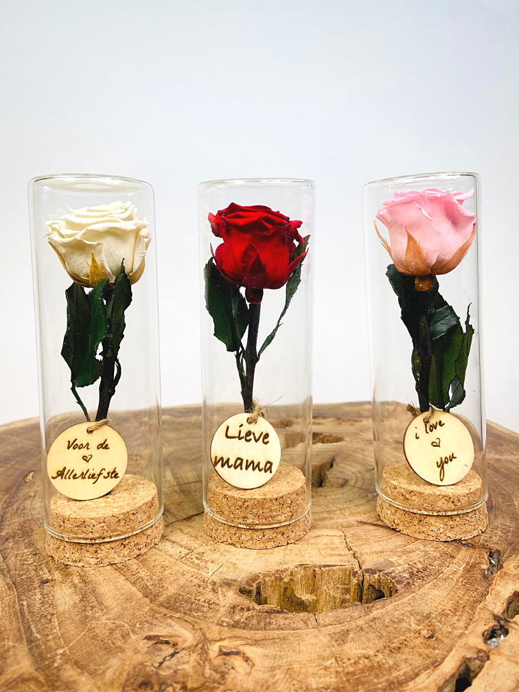 Cadeau spécial : petite rose Longlife en tube à essai