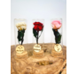 Cadeau spécial : petite rose Longlife en tube à essai