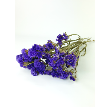 Statice Sinuata 'púrpura