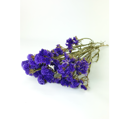 Statice Sinuata 'purple' (violet)