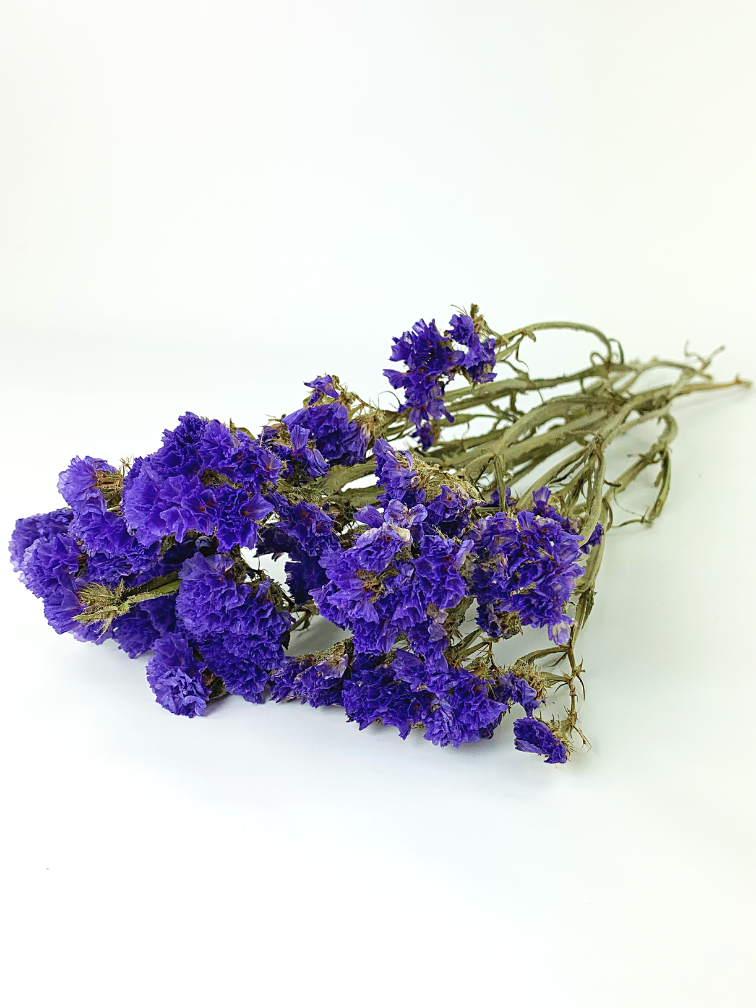 Statice Sinuata 'purple' (violet)