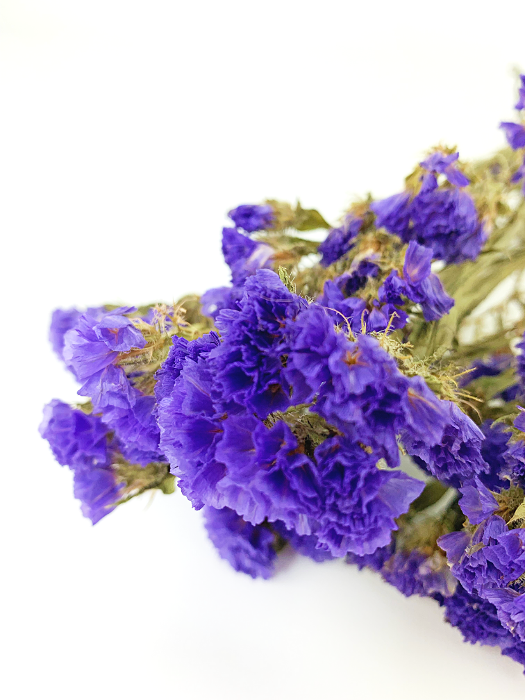 Statice Sinuata 'purple' (violet)