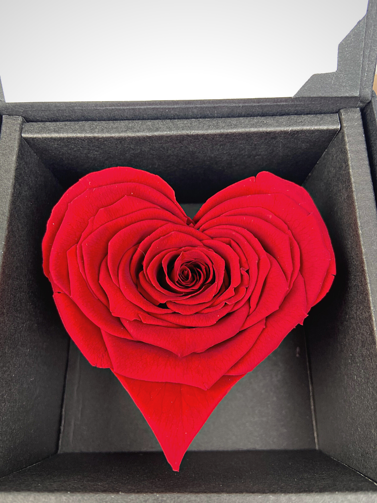 Rosa Longlife "corazón" en caja de regalo