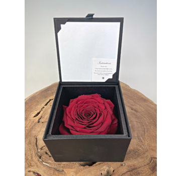 Rose 'rouge' de longue vie dans un coffret cadeau | LARGE