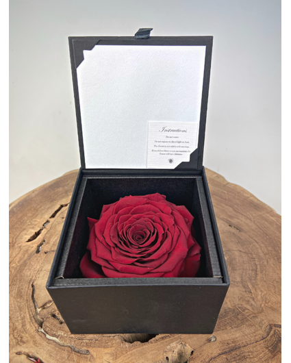 Rose 'rouge' de longue vie dans un coffret cadeau | LARGE