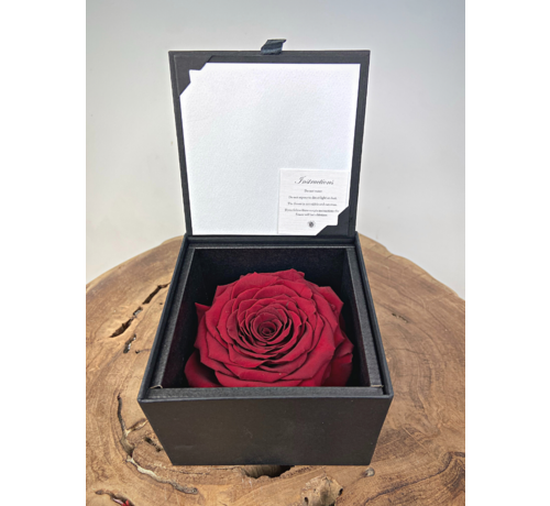 Rose 'rouge' de longue vie dans un coffret cadeau | LARGE